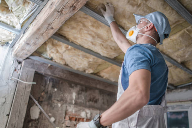 Best Eco-Friendly Insulation in East Honolulu, HI