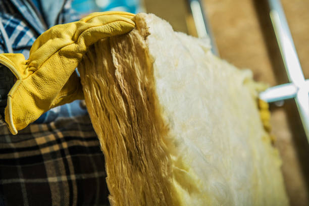 Best Eco-Friendly Insulation in East Honolulu, HI