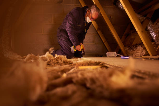 Types of Insulation We Offer in East Honolulu, HI