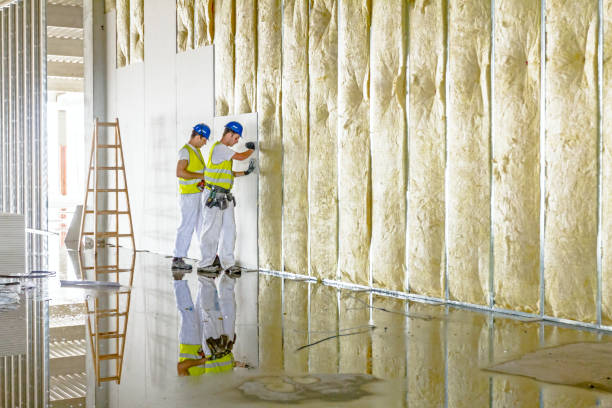 Best Cellulose Insulation in East Honolulu, HI